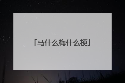 马什么梅什么梗