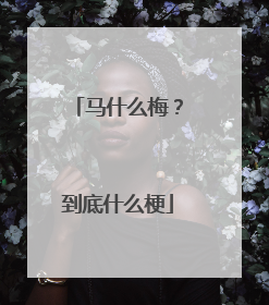 马什么梅?到底什么梗