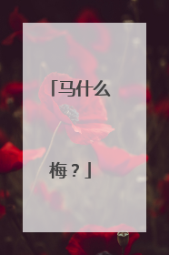 马什么梅？