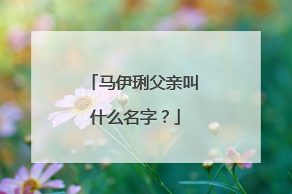 马伊琍父亲叫什么名字?