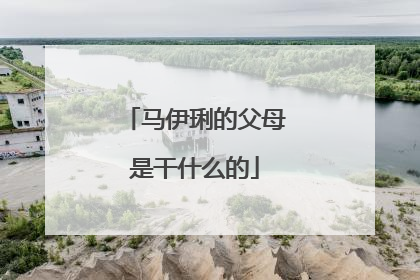 马伊琍的父母是干什么的