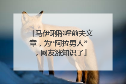 马伊琍称呼前夫文章,为“阿拉男人”,网友涨知识了