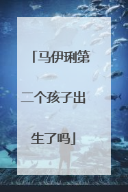 马伊琍第二个孩子出生了吗