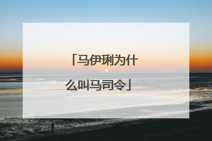 马伊琍为什么叫马司令