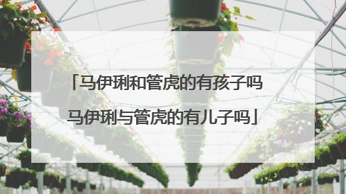 马伊琍和管虎的有孩子吗 马伊琍与管虎的有儿子吗