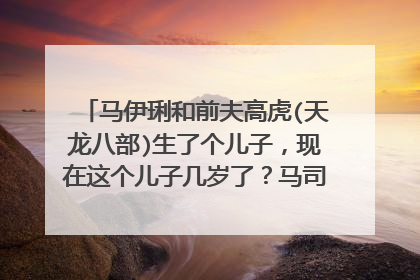马伊琍和前夫高虎(天龙八部)生了个儿子,现在这个儿子几岁了?马司令生了几个孩子?和管虎文章生了几个