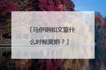 马伊琍和文章什么时候离婚？