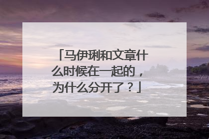 马伊琍和文章什么时候在一起的,为什么分开了?
