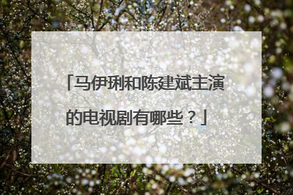 马伊琍和陈建斌主演的电视剧有哪些？