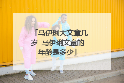 马伊琍大文章几岁 马伊琍文章的年龄是多少