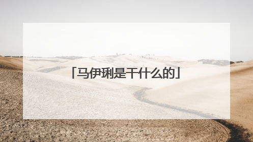 马伊琍是干什么的