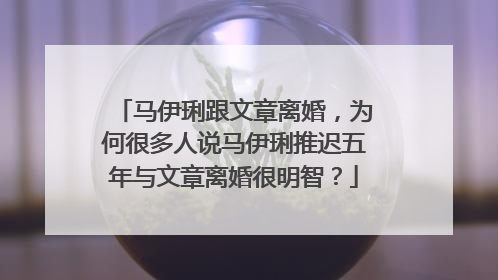 马伊琍跟文章离婚,为何很多人说马伊琍推迟五年与文章离婚很明智?