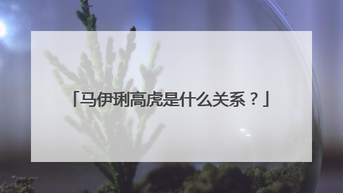 马伊琍高虎是什么关系?