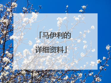 马伊利的详细资料