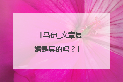 马伊_文章复婚是真的吗？