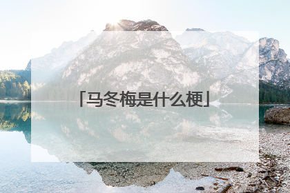 马冬梅是什么梗