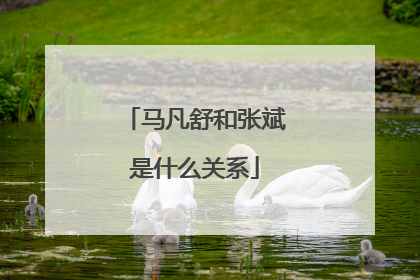 马凡舒和张斌是什么关系