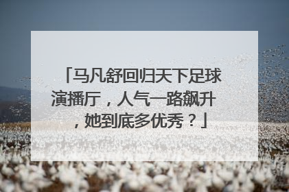 马凡舒回归天下足球演播厅,人气一路飙升,她到底多优秀?
