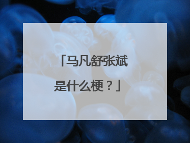 马凡舒张斌是什么梗？
