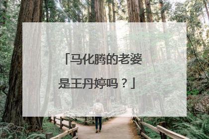 马化腾的老婆是王丹婷吗?