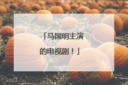 马国明主演的电视剧！