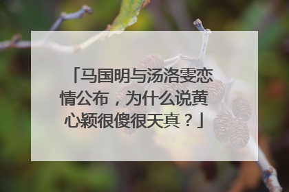 马国明与汤洛雯恋情公布，为什么说黄心颖很傻很天真？