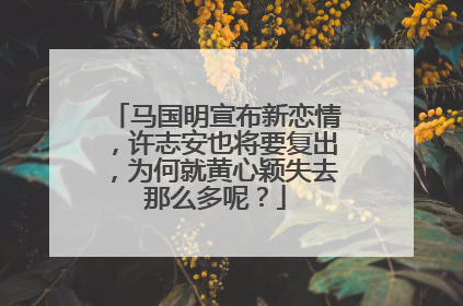 马国明宣布新恋情,许志安也将要复出,为何就黄心颖失去那么多呢?