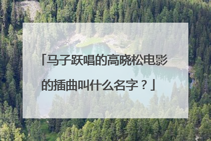 马子跃唱的高晓松电影的插曲叫什么名字？