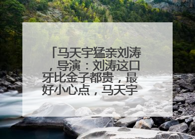 马天宇猛亲刘涛,导演:刘涛这口牙比金子都贵,最好小心点,马天宇啥反应?