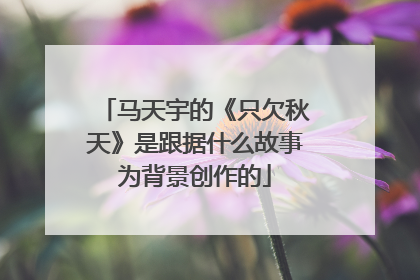 马天宇的《只欠秋天》是跟据什么故事为背景创作的