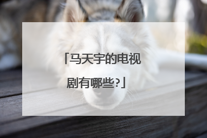 马天宇的电视剧有哪些?