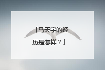 马天宇的经历是怎样?