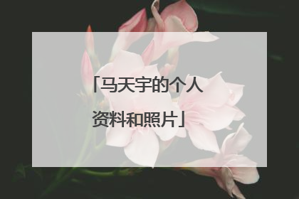 马天宇的个人资料和照片