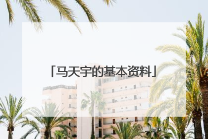 马天宇的基本资料