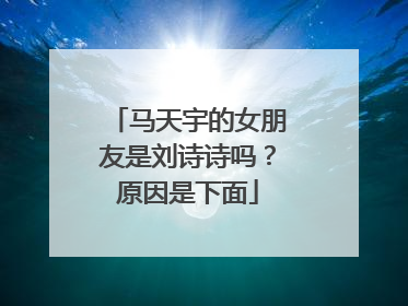 马天宇的女朋友是刘诗诗吗？原因是下面