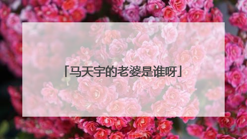 马天宇的老婆是谁呀