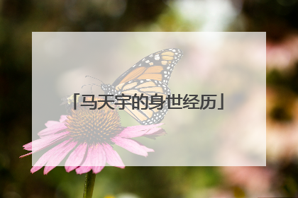 马天宇的身世经历