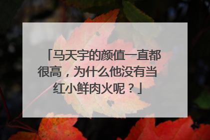 马天宇的颜值一直都很高，为什么他没有当红小鲜肉火呢？