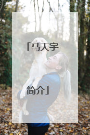 马天宇简介