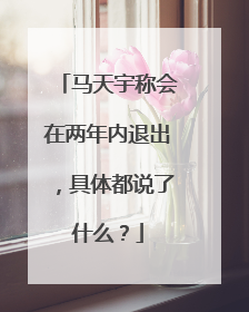 马天宇称会在两年内退出,具体都说了什么?