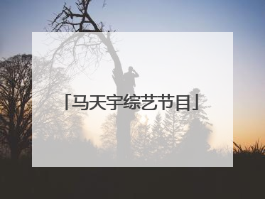 马天宇综艺节目