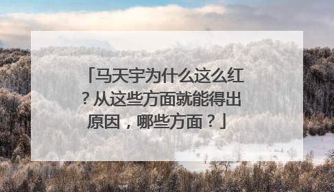 马天宇为什么这么红?从这些方面就能得出原因,哪些方面?