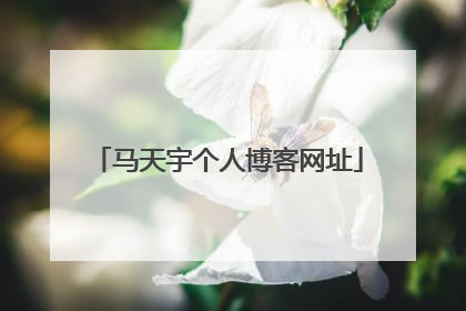 马天宇个人博客网址