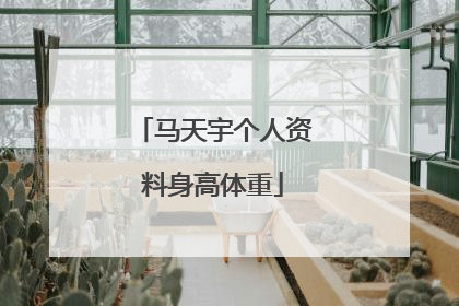 马天宇个人资料身高体重