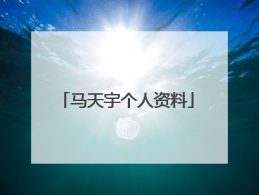 马天宇个人资料