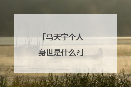 马天宇个人 身世是什么?