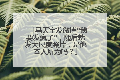 马天宇发微博“我要发疯了”,随后就发大尺度照片,是他本人所为吗?