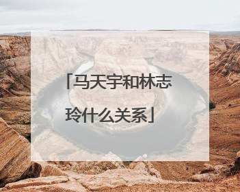 马天宇和林志玲什么关系