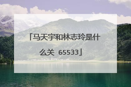马天宇和林志玲是什么关 65533