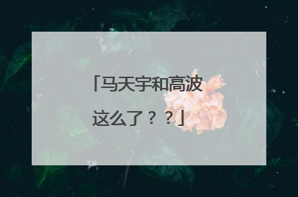 马天宇和高波这么了??